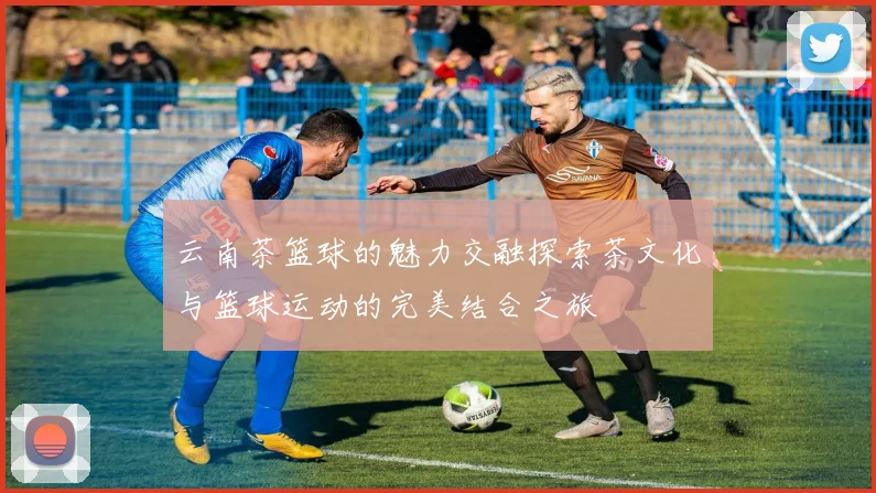 云南茶篮球的魅力交融探索茶文化与篮球运动的完美结合之旅