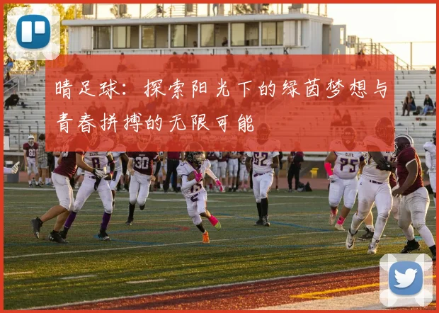 晴足球：探索阳光下的绿茵梦想与青春拼搏的无限可能