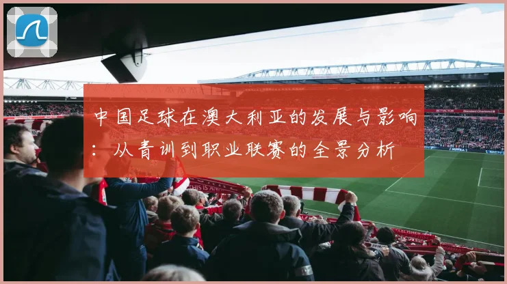 中国足球在澳大利亚的发展与影响：从青训到职业联赛的全景分析