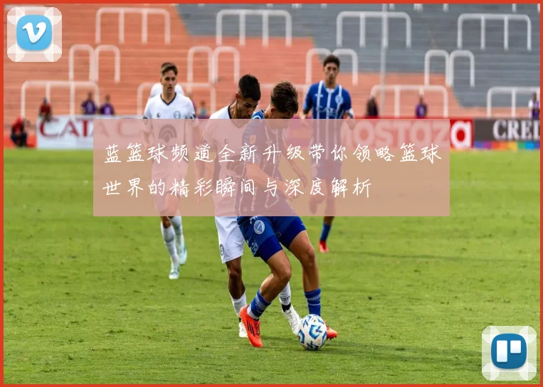 蓝篮球频道全新升级带你领略篮球世界的精彩瞬间与深度解析