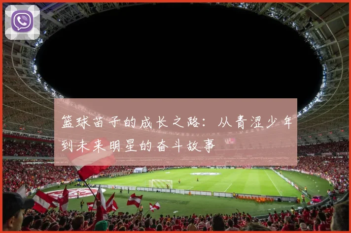 篮球苗子的成长之路：从青涩少年到未来明星的奋斗故事