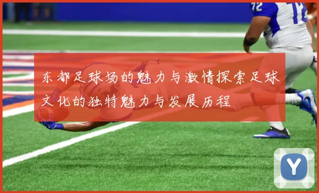 东都足球场的魅力与激情探索足球文化的独特魅力与发展历程