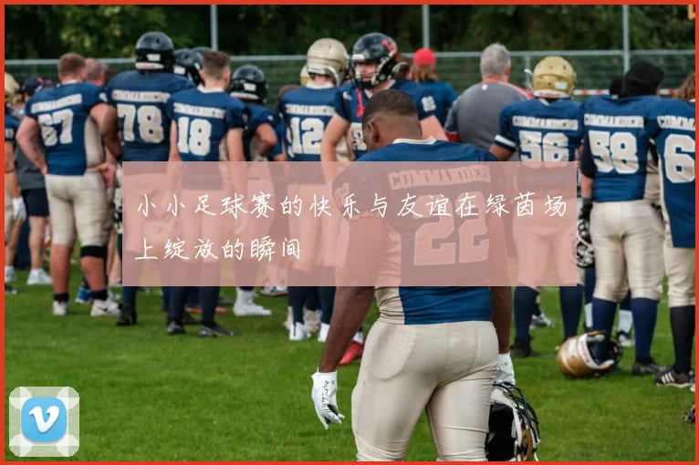 小小足球赛的快乐与友谊在绿茵场上绽放的瞬间