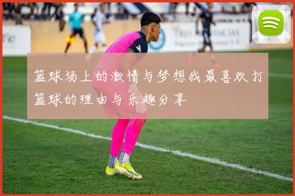 篮球场上的激情与梦想我最喜欢打篮球的理由与乐趣分享